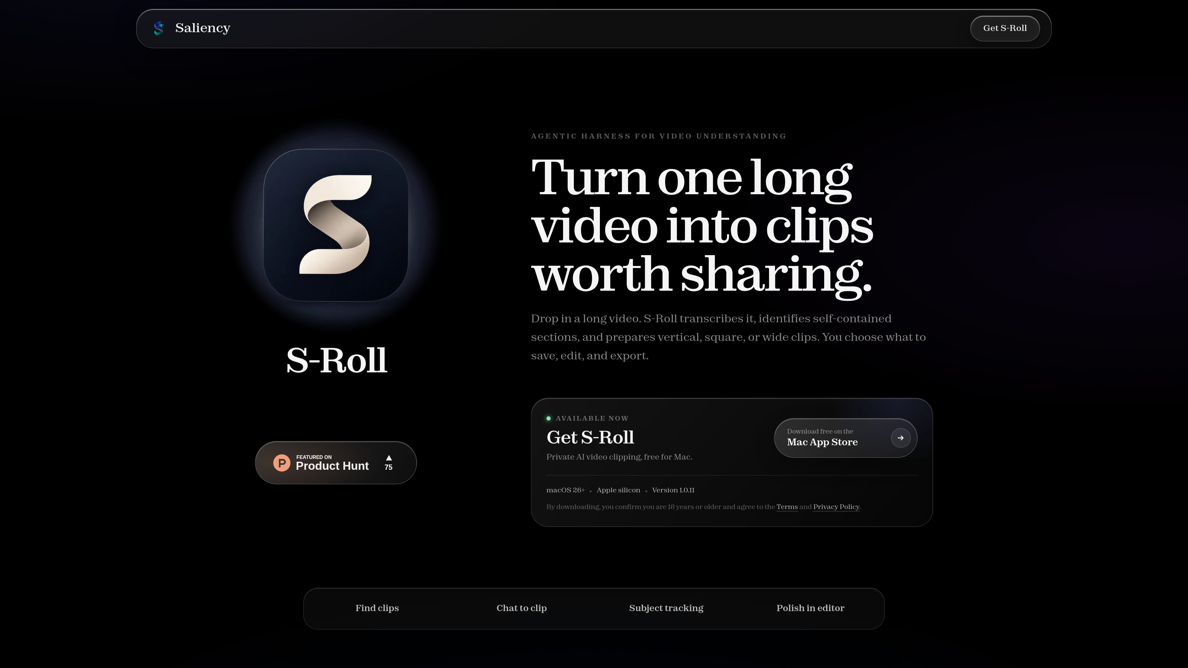 Saliency preview