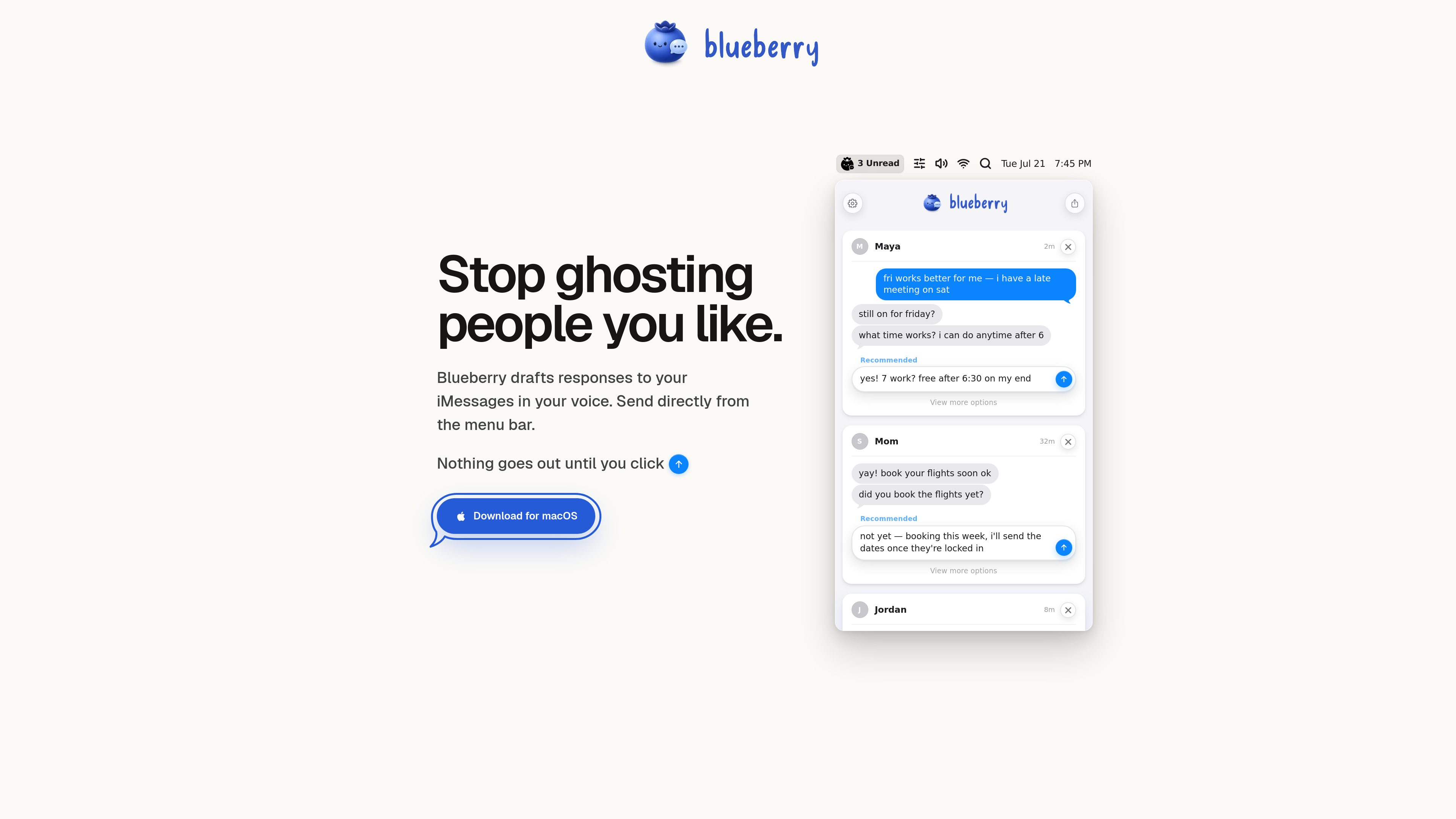 Blueberry preview