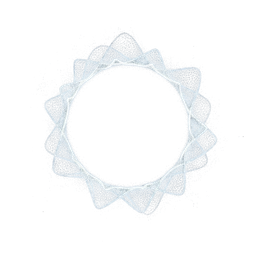 SoloGuard icon