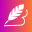 BrieflyAI logo