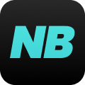 NicheBay logo