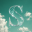 Shipper.now logo