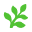 Fern icon