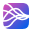 Closely logo