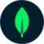 Voyage AI logo