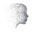 Setter AI icon