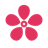 Cherry Blossom logo