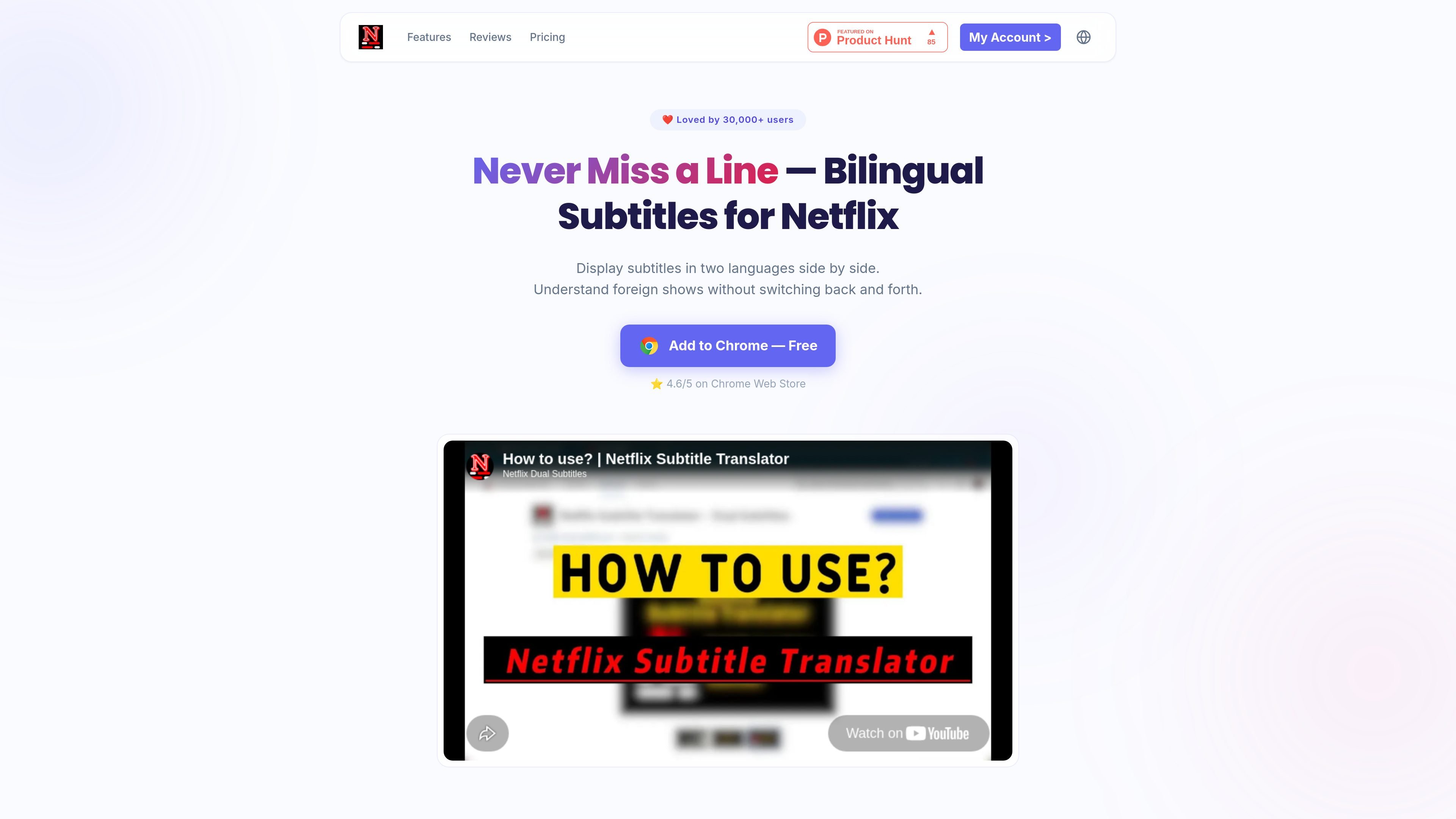 NF Dual Subtitles