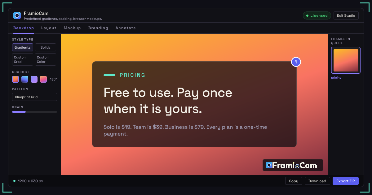 FramioCam preview