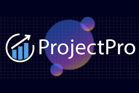 ProjectPro preview