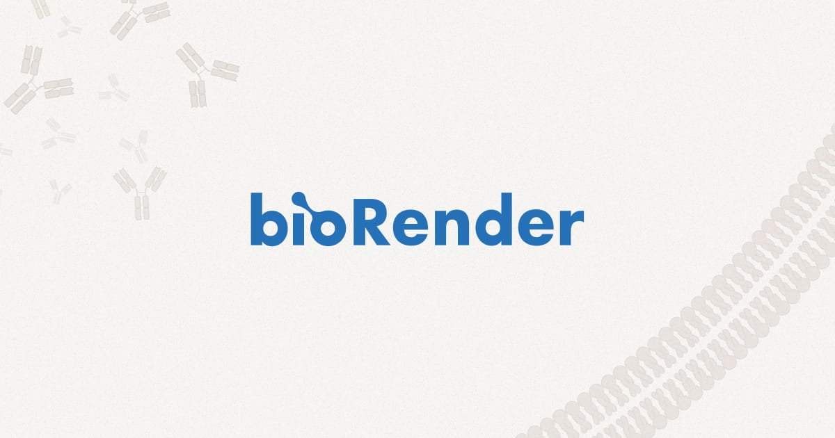 BioRender