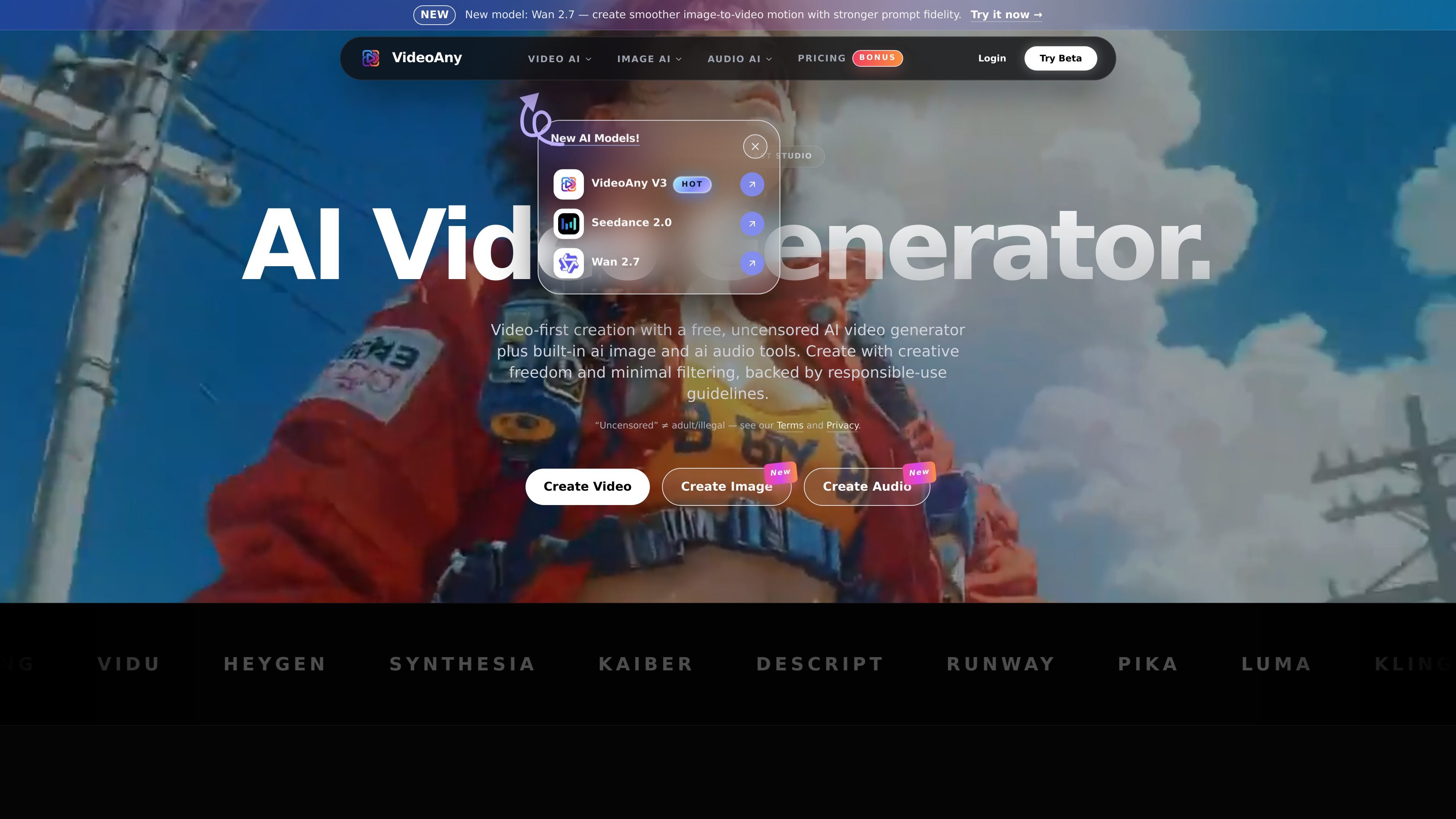 VideoAny