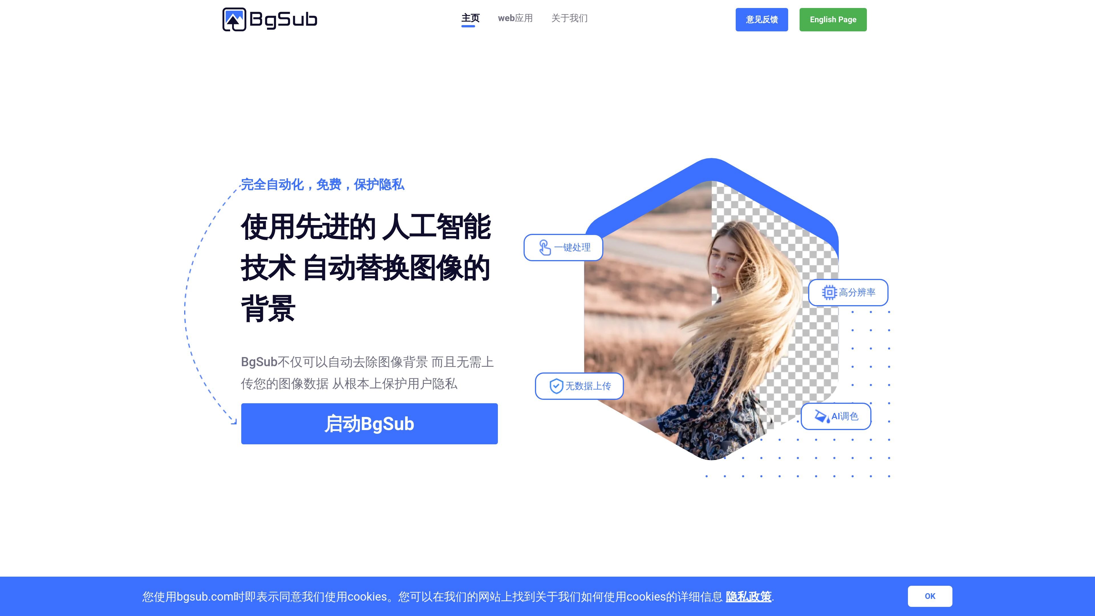 BgSub