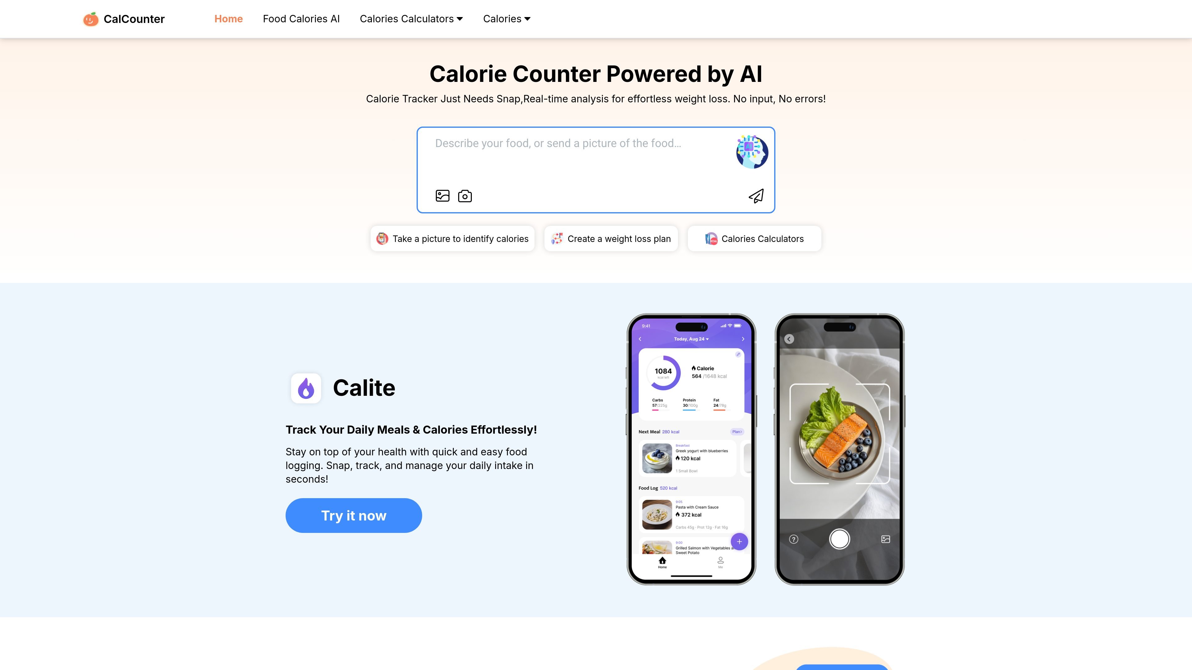 CalCounter